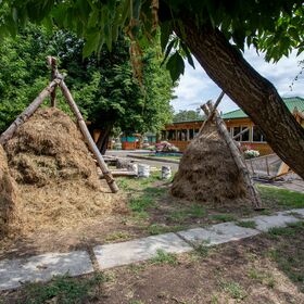 Территория - Кафе Роща