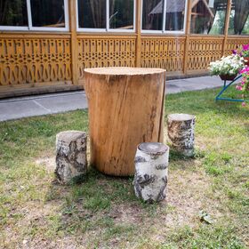 Территория - Кафе Роща