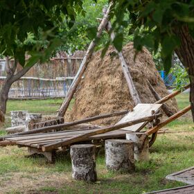 Территория - Кафе Роща