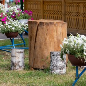 Территория - Кафе Роща