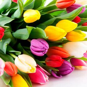 8 марта в кафе Роща